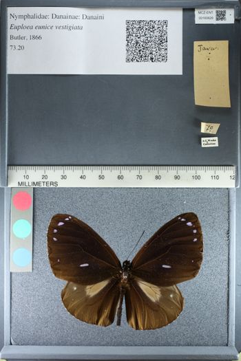 Media type: image;   Entomology 160626
